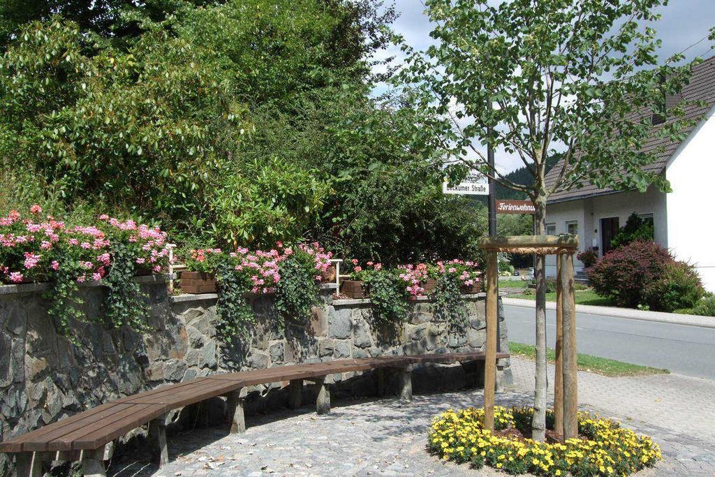 Haus Mittelberg Daire Olsberg Dış mekan fotoğraf