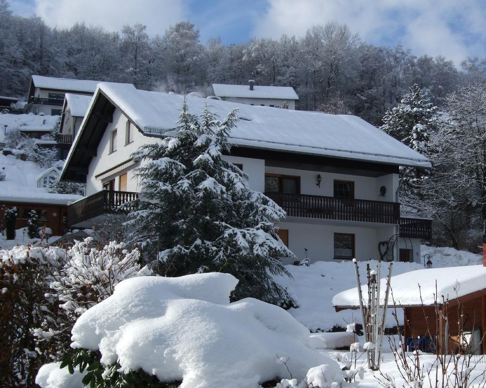 Haus Mittelberg Daire Olsberg Oda fotoğraf