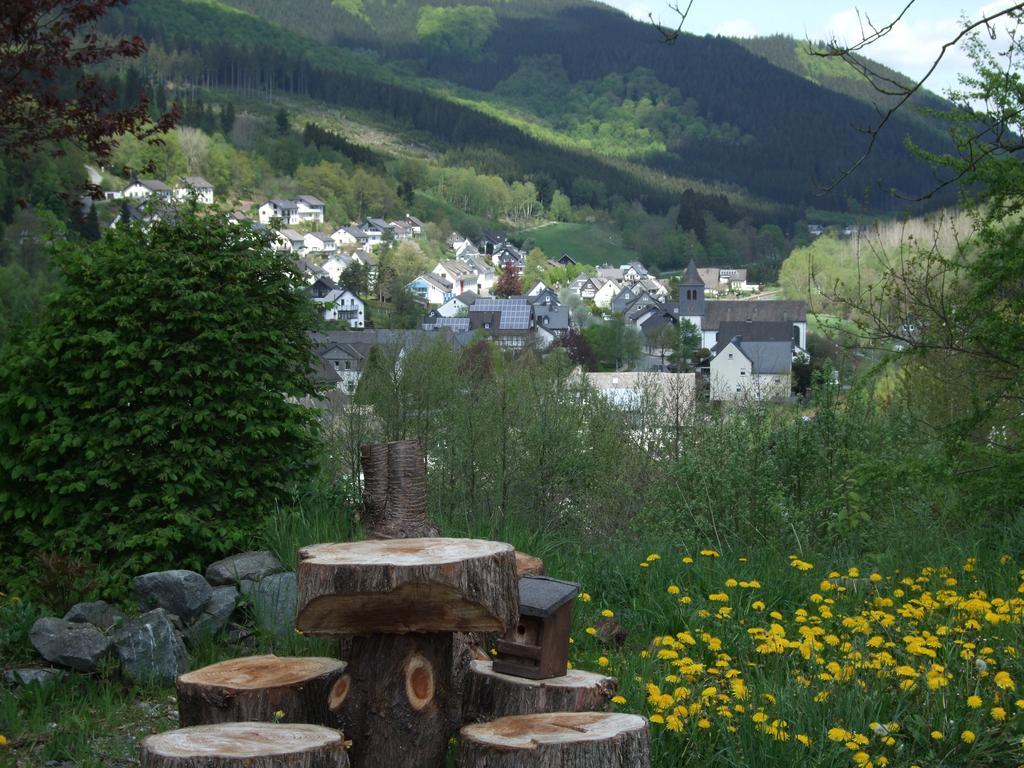 Haus Mittelberg Daire Olsberg Oda fotoğraf