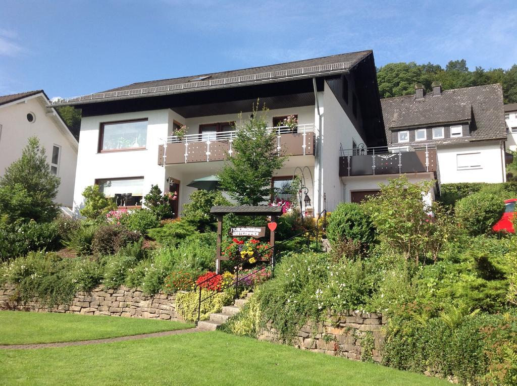 Haus Mittelberg Daire Olsberg Dış mekan fotoğraf