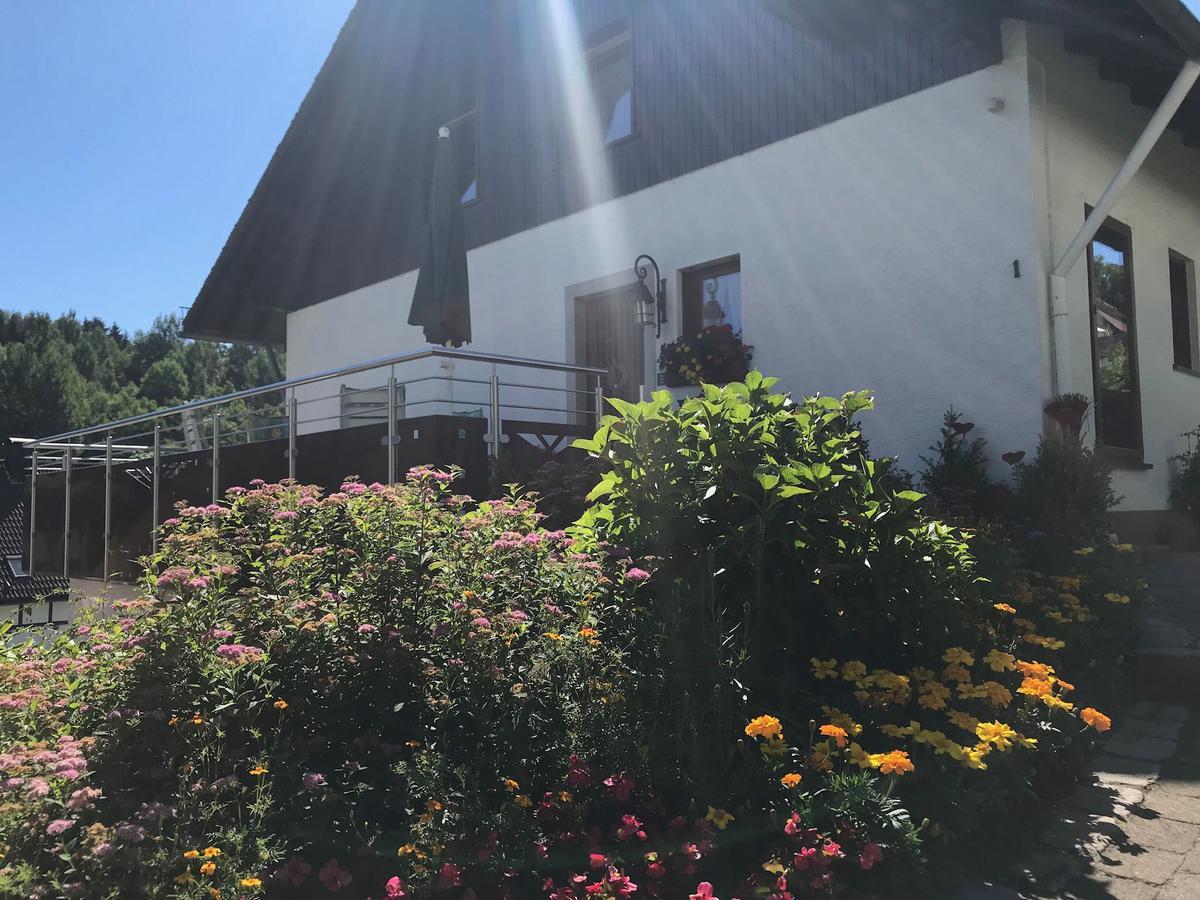 Haus Mittelberg Daire Olsberg Dış mekan fotoğraf