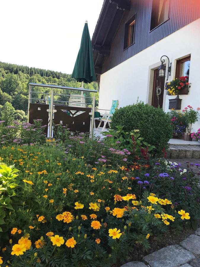 Haus Mittelberg Daire Olsberg Dış mekan fotoğraf